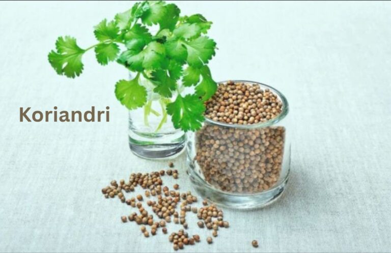 Koriandri